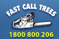 Fast Call Tree Services