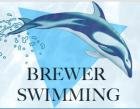 Brewer Swimming