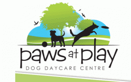 Paws at Play Dog Daycare Centre